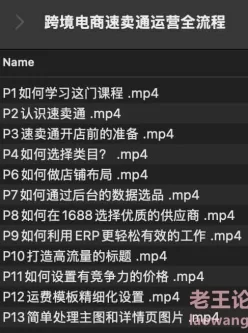 跨境电商速卖通运营全流程